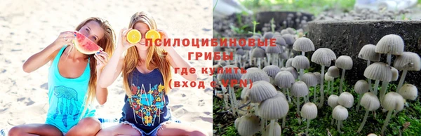 mdpv Аркадак