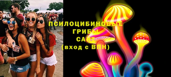 крисы Армянск