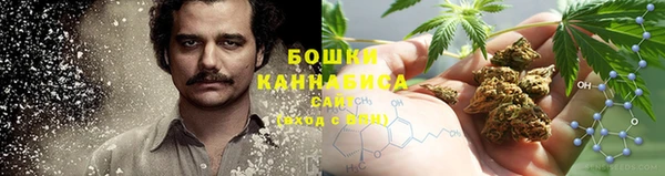 крисы Армянск