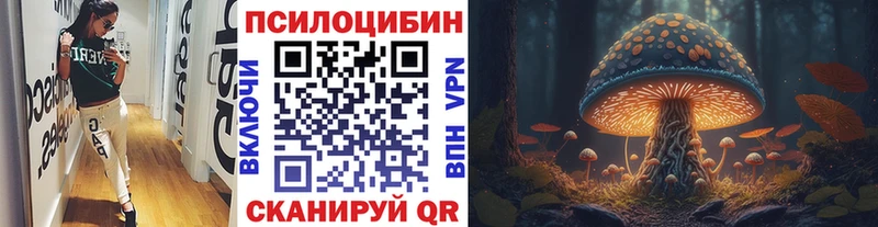 Псилоцибиновые грибы мицелий Геленджик