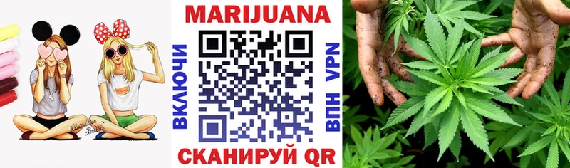 Бошки Шишки MAZAR  где можно купить   Геленджик 